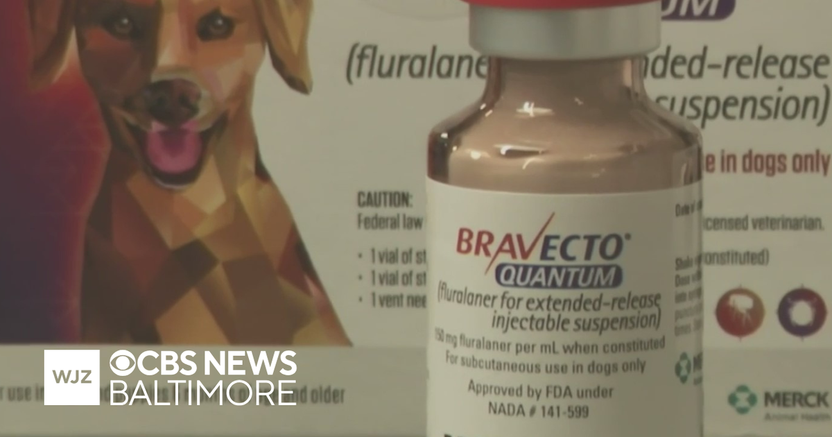 FDA approved long-lasting flea and tick treatment to protect dogs for a ...
