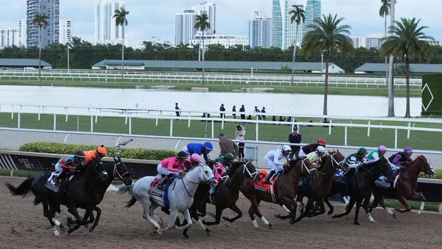 Pegasus World Cup Horse Racing 