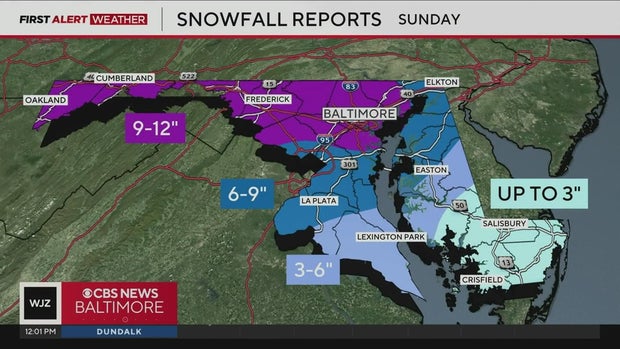 Snowfall Totals in Maryland 1/26/26 