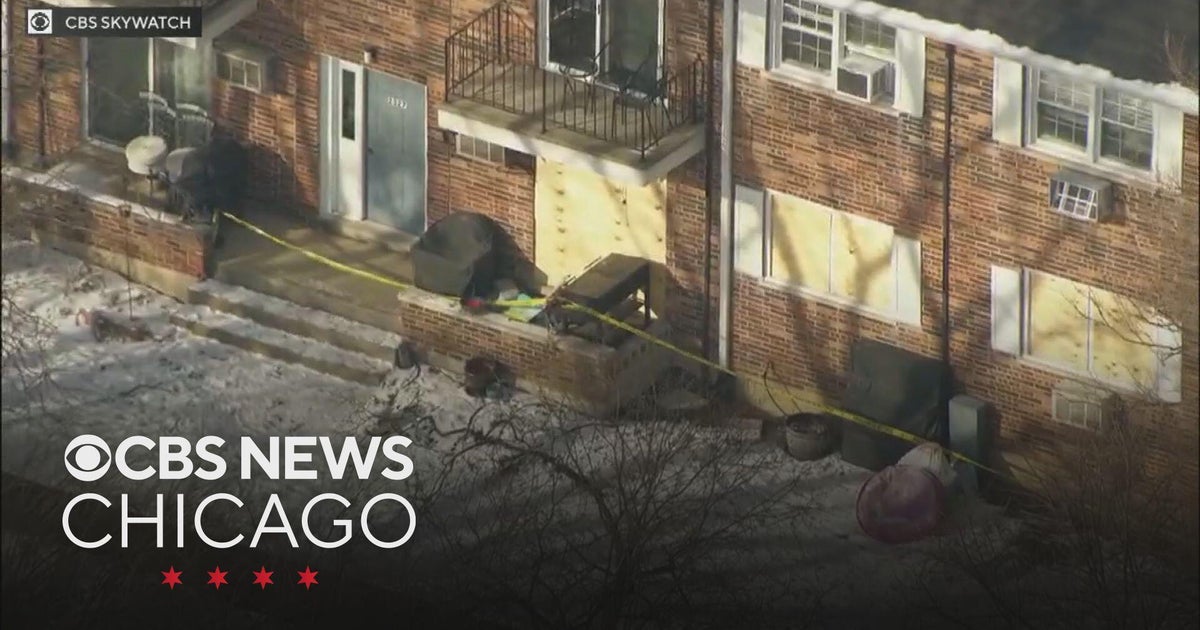 Homicide investigation launched after pregnant woman dies in Downers ...