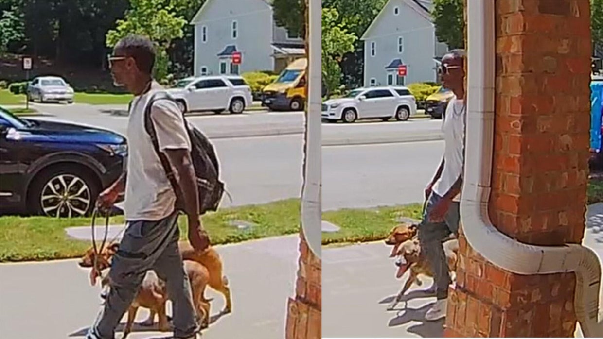 Police searching for man accused of sexually assaulting, killing dogs ...