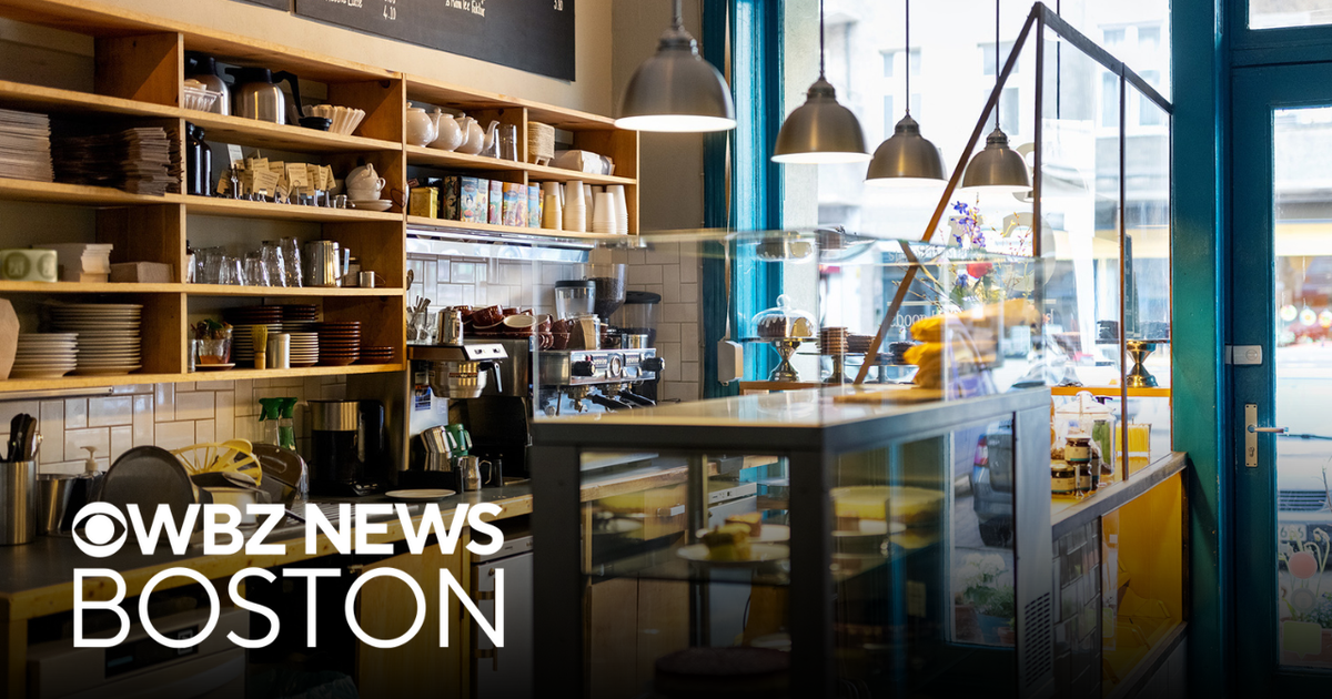 Boston leaders organize "cash mobs" to support small businesses