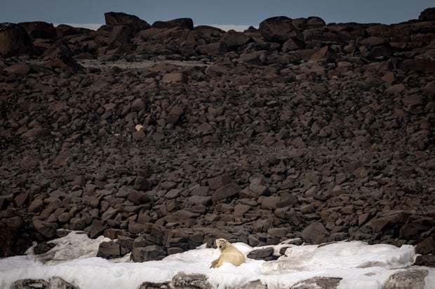 Turkish scientists carry out 5th National Arctic Scientific Research Expedition 