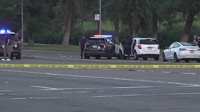 Police lights generic 