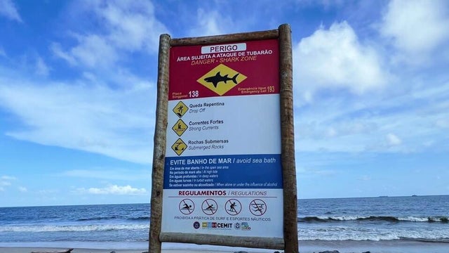 Travel Destination - Brazil 