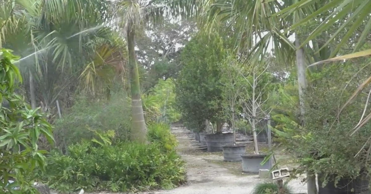South Florida farmers work to protect crops as record-cold temperatures move in