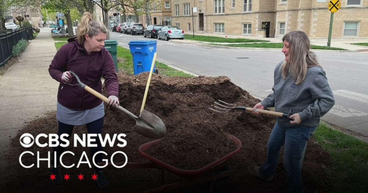 Chicago Park District seek site captains for Earth Day