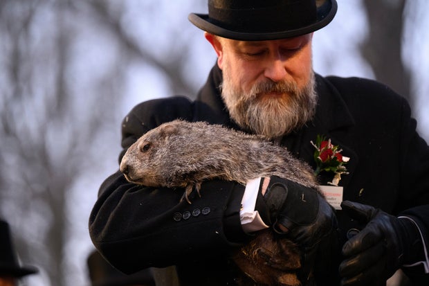 Punxsutawney Phil Looks For His Shadow On Groundhog's Day 