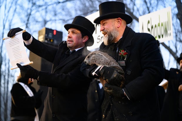 Punxsutawney Phil Looks For His Shadow On Groundhog's Day 