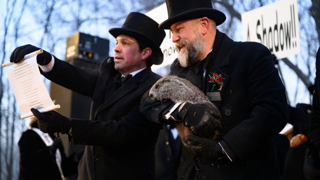 Punxsutawney Phil Looks For His Shadow On Groundhog's Day 