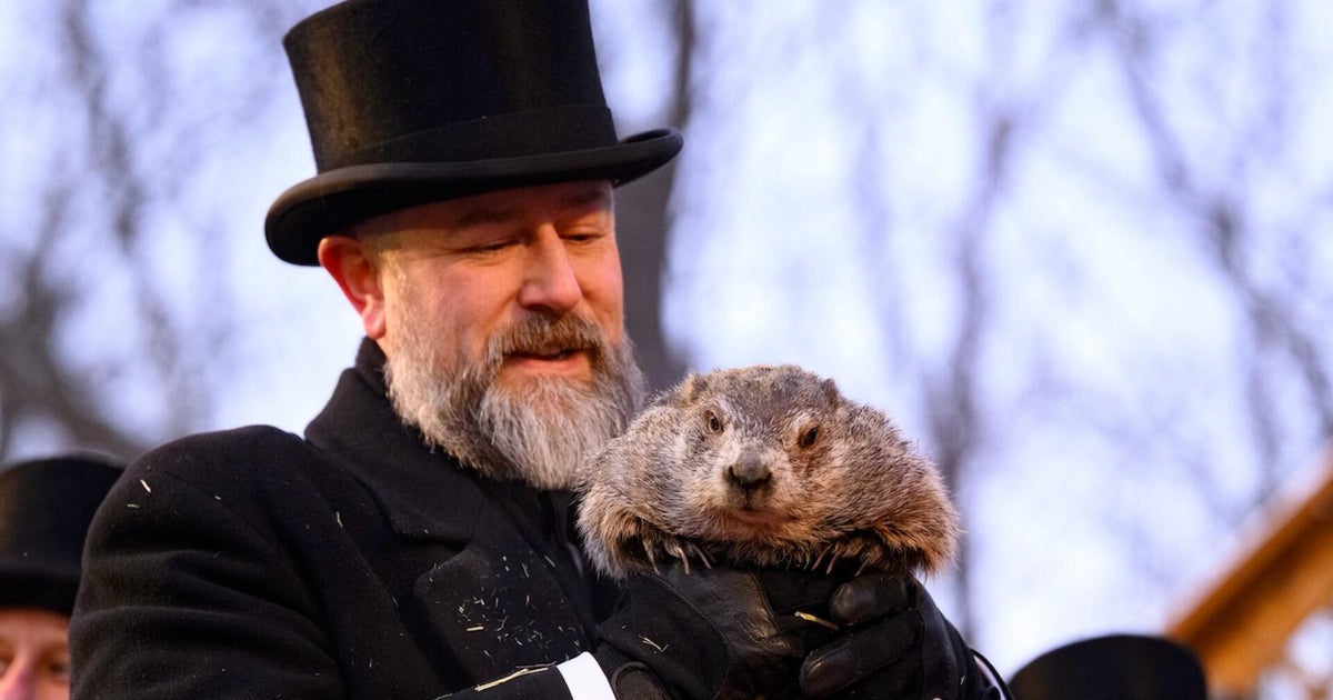 How accurate is Punxsutawney Phil's prediction?