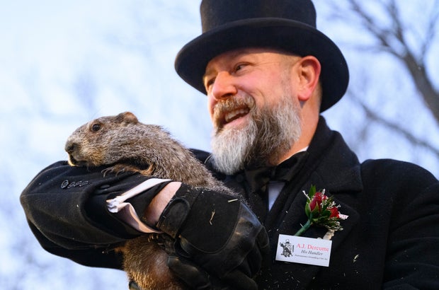 Punxsutawney Phil Looks For His Shadow On Groundhog's Day 