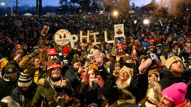 Punxsutawney Phil Looks For His Shadow On Groundhog's Day 
