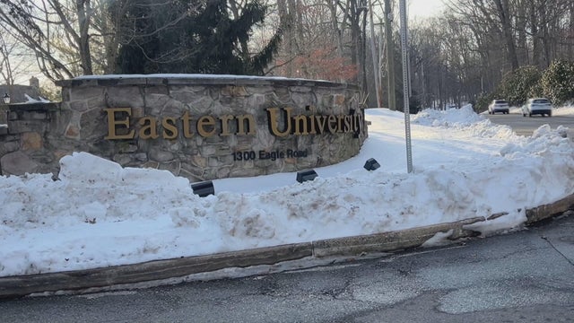 Generic police lights 