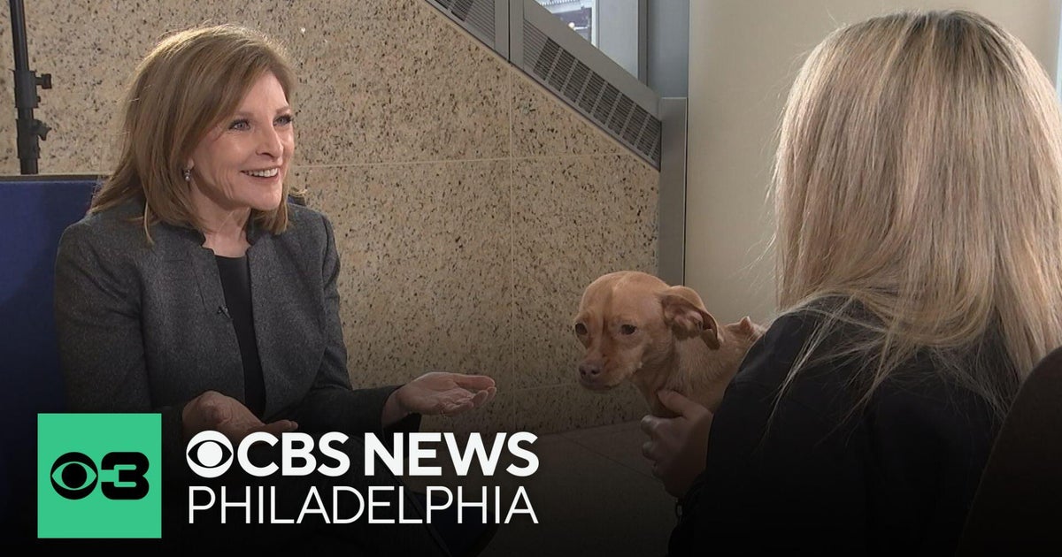 A Los Angeles dog and a Philadelphia toddler share this unique bond