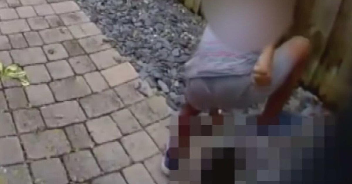 Child identified in duck stomping video - CBS Miami
