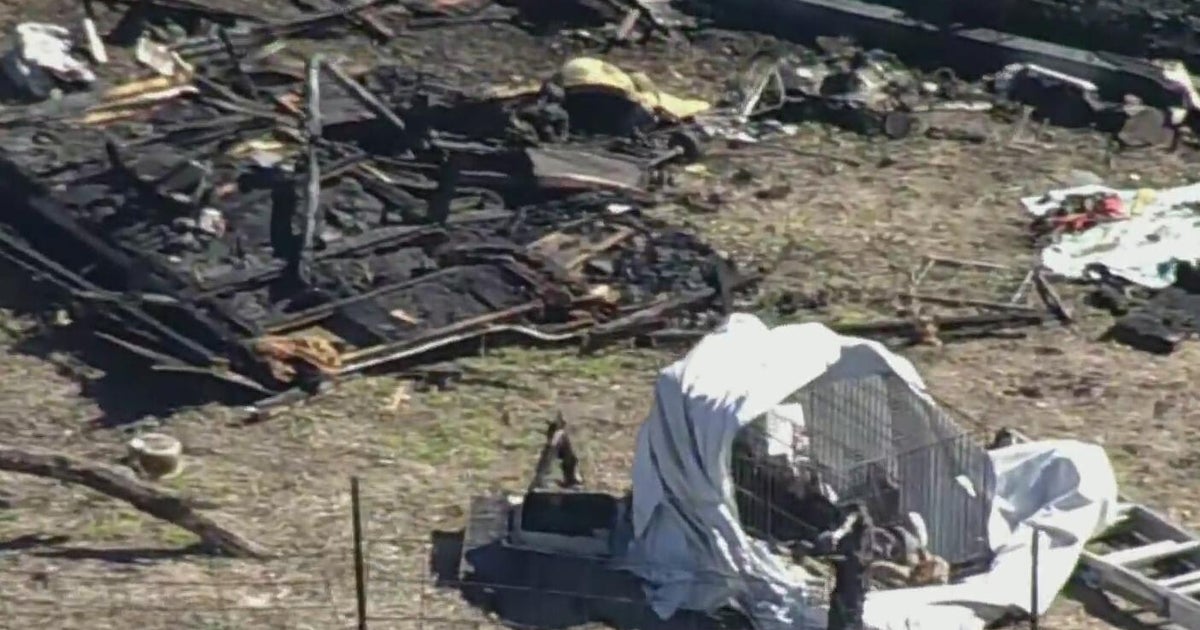 Homeless encampment fire kills 8 dogs in a camper - CBS Texas