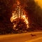 Wildfire smoke pollution linked to 24,100 U.S. deaths per year, study finds