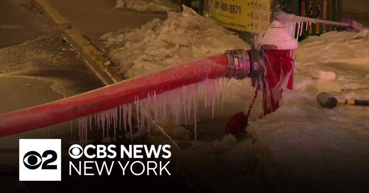 Icicles form on fire hydrants in Palisades Park, New Jersey