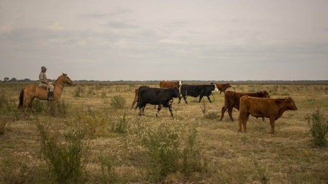 Shoppers At A Walmart On Black Friday 