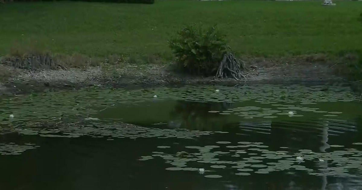 Drought and high demand spur water shortage in Miami-Dade County