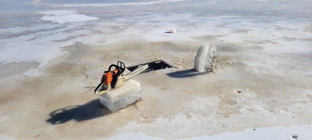 Ice still covers Delaware River, Bay and even New Jersey's cranberry bogs as temperatures get above freezing