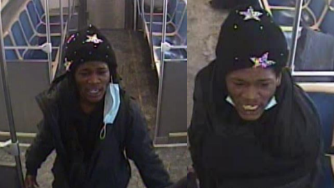cta-red-line-robbery-suspect.png 