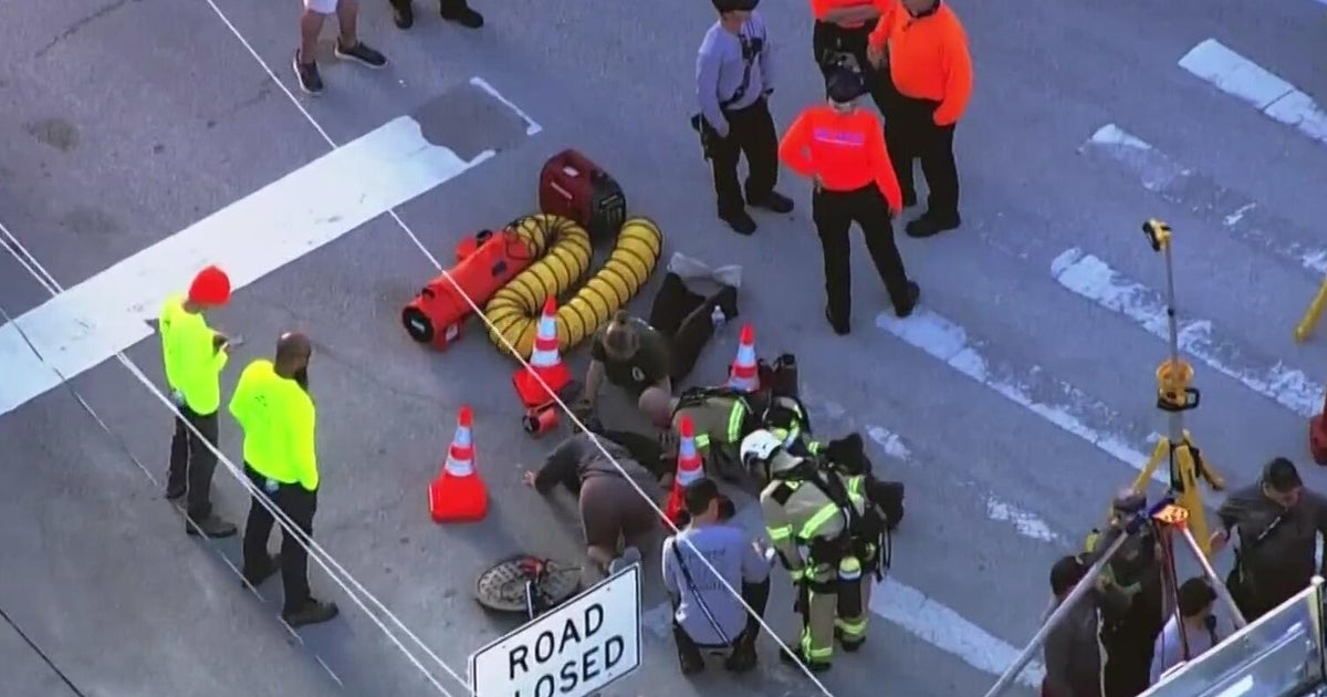 Manatee rescued from storm drain on Space Coast