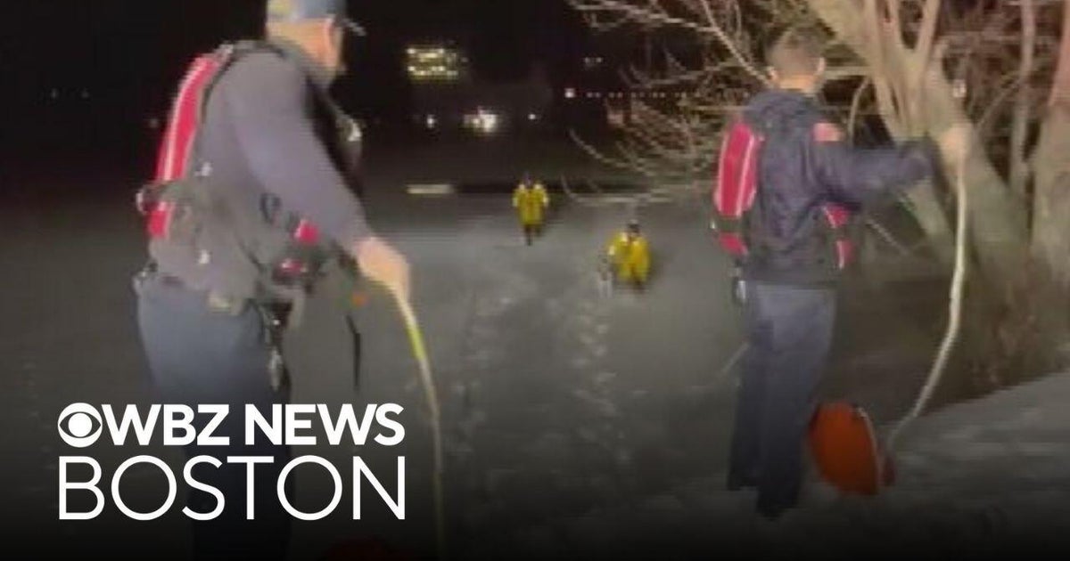 Firefighters rush to save Massachusetts dog from icy pond