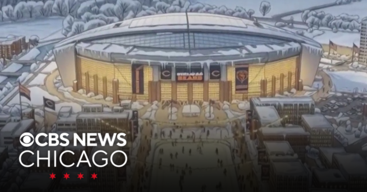 Portage and Iowa join battle for new Bears stadium