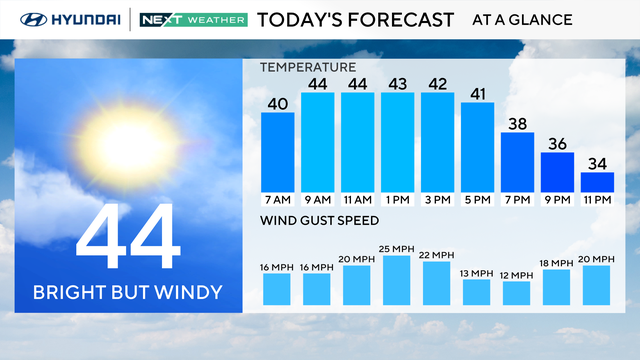 z-today-at-a-glance-winds.png 