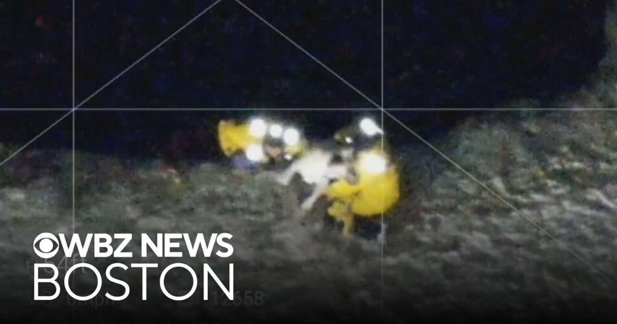 Massachusetts police and firefighters rescue dog from hole in ice