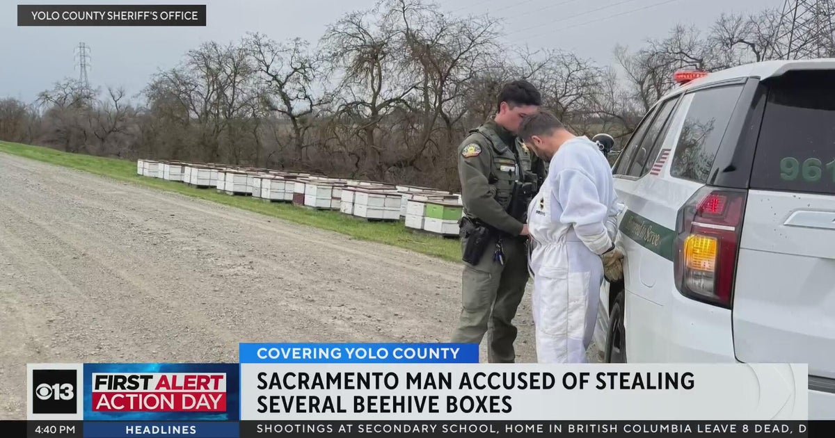 Sacramento man accused of stealing over 170 beehives in Central ...