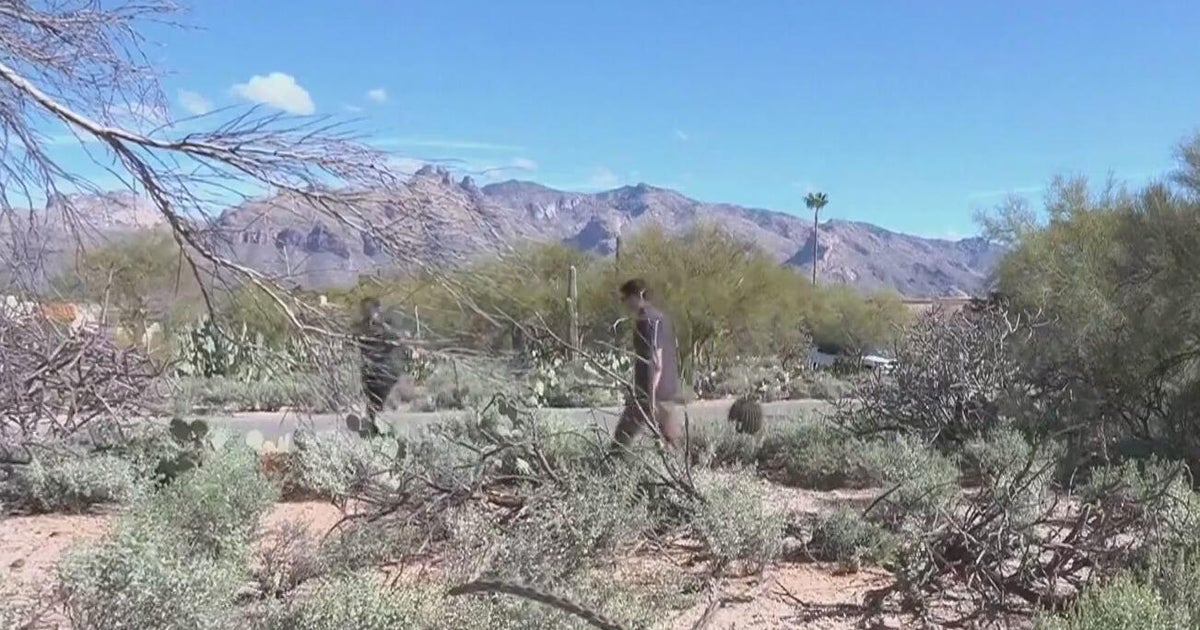 Search continues in Arizona for clues in Nancy Guthrie case