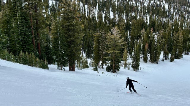 Lone Skier In Black Making A Turn On A Groomed Run In The Forested Mountains Of Northstar Ski Resort, Truckee Tahoe California Tourism, Winter Activity, Snow Sports 