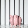 Piggy bank trapped inside a prison 