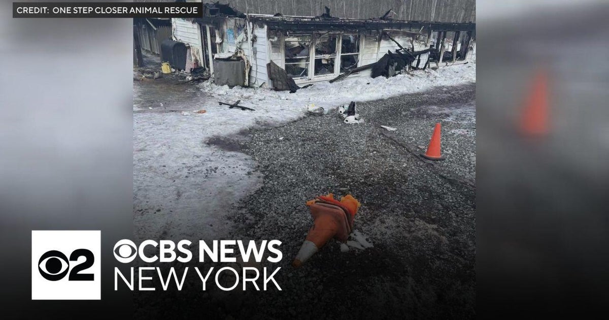 Surviving dogs in New Jersey kennel fire sent to other animal shelters