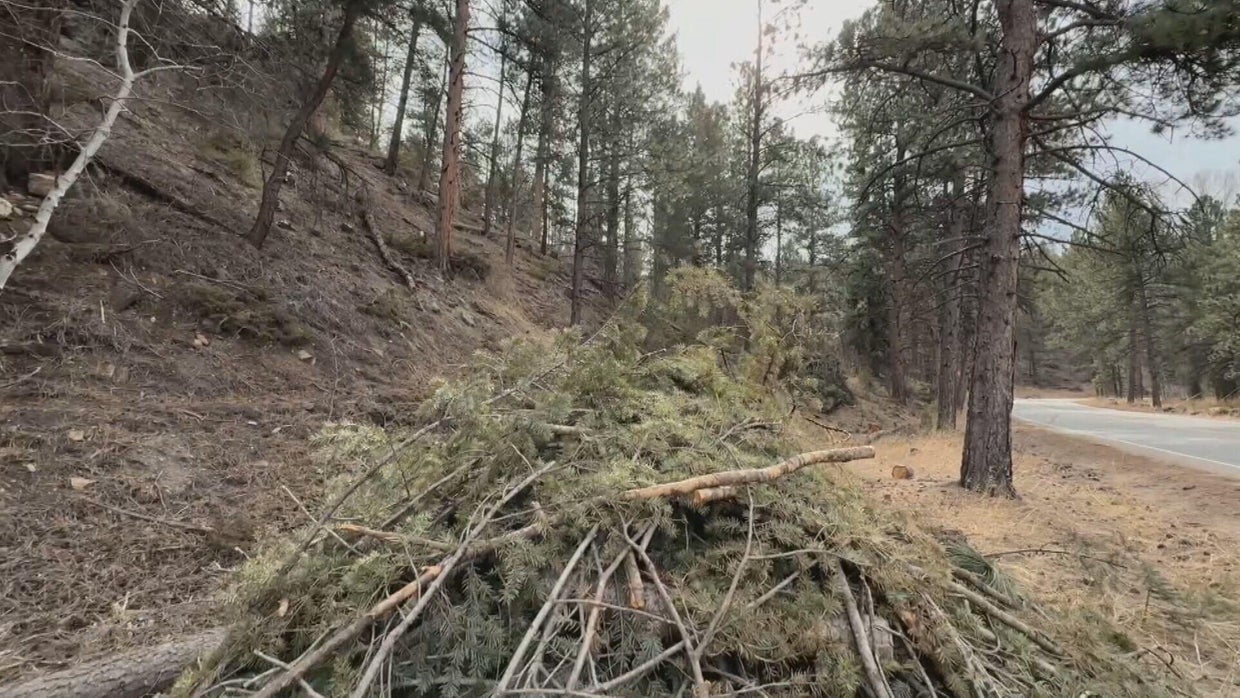 Residents in Colorado foothills plan for possible evacuations as dry ...