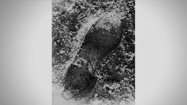 Mary Kay Heese evidence