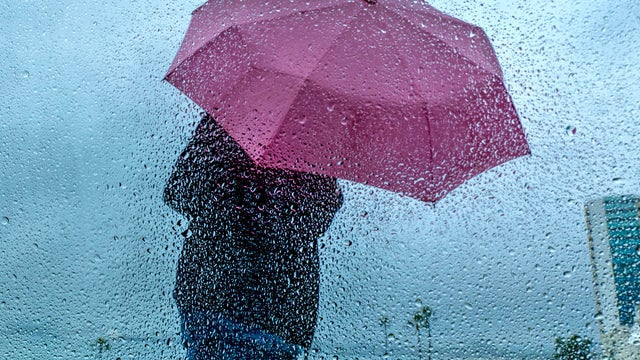 Rain hits Los Angeles 