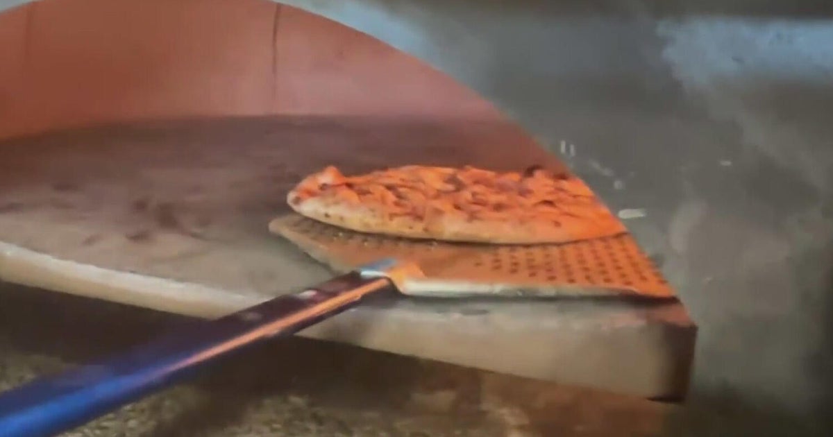 Florida pizza restaurant selling iguana pizza faces backlash, scales back production