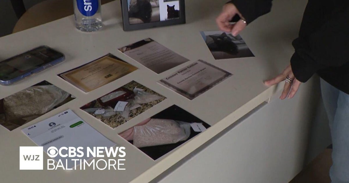 Maryland pet owners testify for consumer protection regulations for cremations