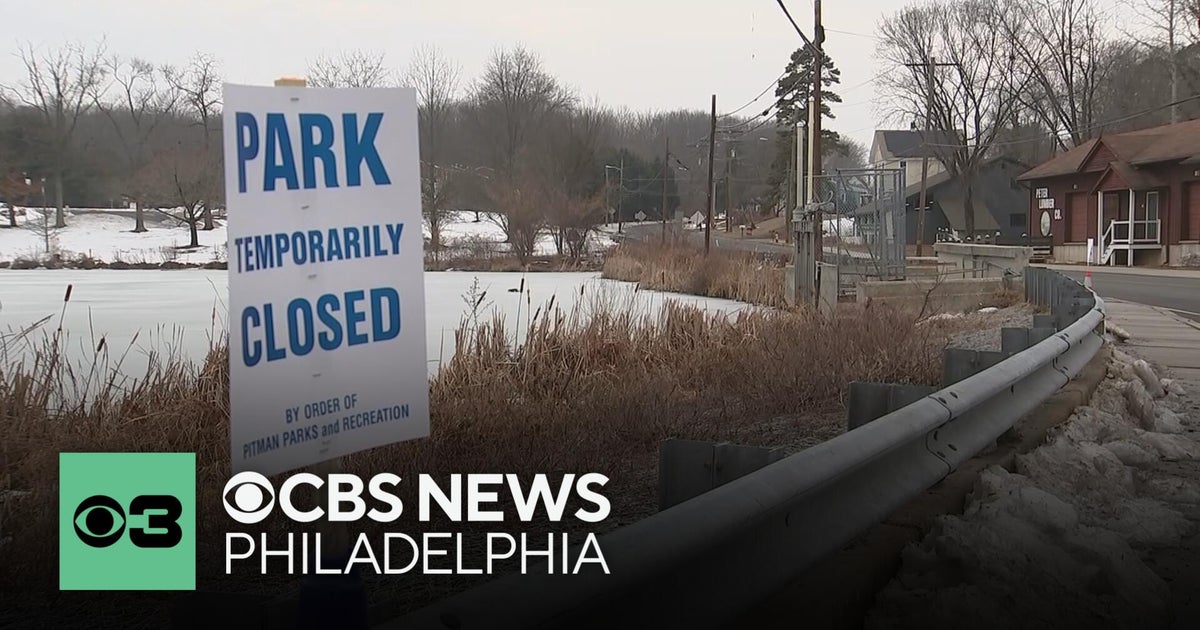 Bird flu suspected in geese in Pitman, New Jersey