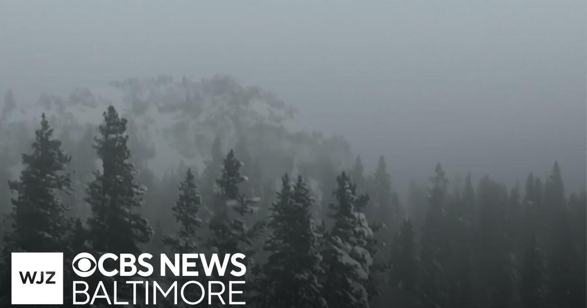8 skiers dead after avalanche near California’s Lake Tahoe.