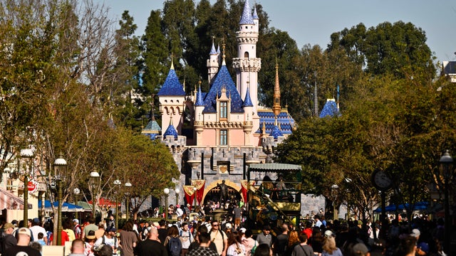 Disneyland Resort 