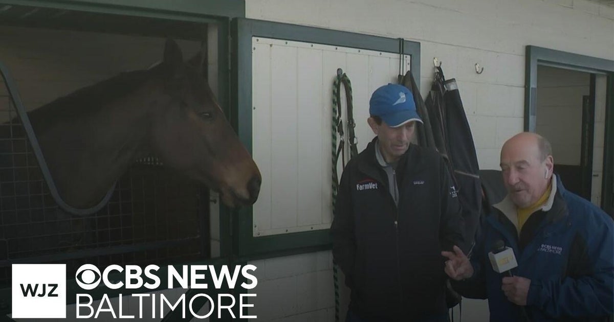 Where’s Marty: Maryland horse wins top honors for steeplechase