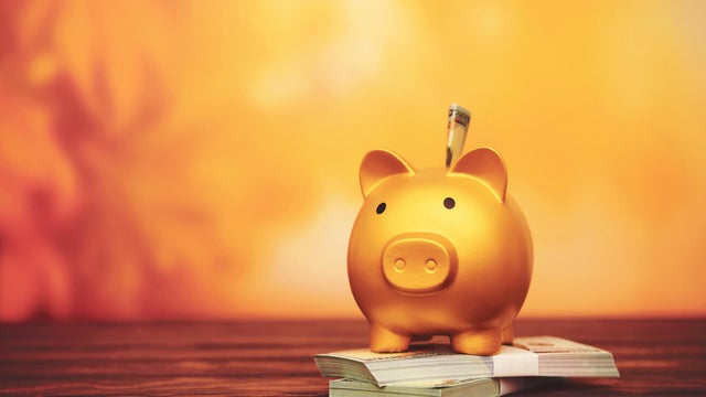 Fall Savings. Pig bank with dollars and space for copy 
