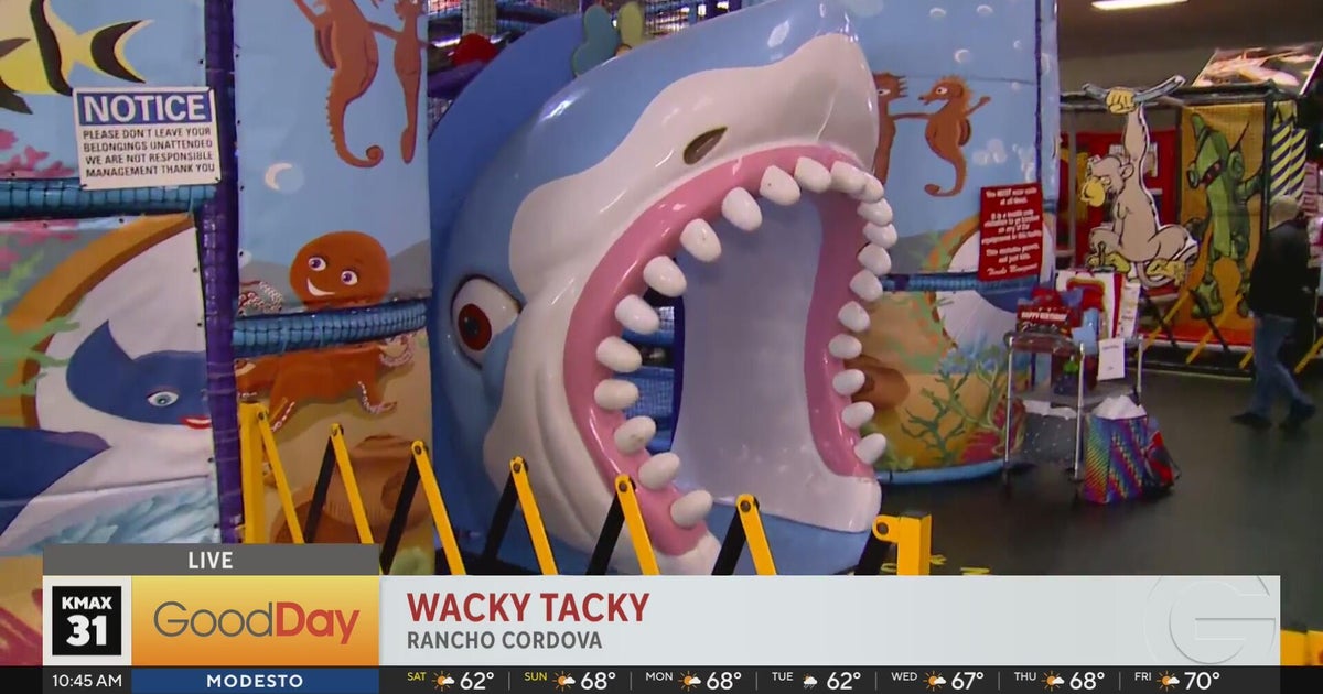 Hangout with your kids at Wacky Tacky in Rancho Cordova! - Good Day ...