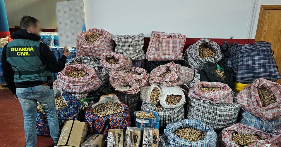 3 men suspected of shipping opium poppy to the U.S. arrested in Spain