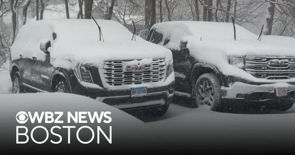 Snow piling up in Andover, Massachusetts during nor'easter